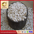 Factory Price Premium Quality Snow White Pumpkin Seeds